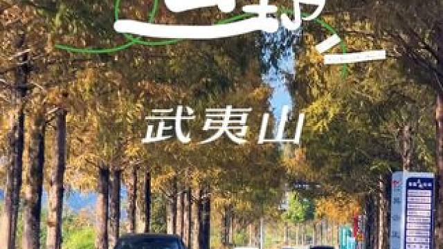 秋色迷人的武夷山 #旅行推荐官 #秋天落叶 #深秋时节的诗情画意