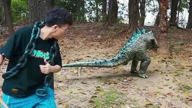 小伙暴打野生哥斯拉#看一遍笑一遍 #每日一笑 #搞笑#搞笑视频#搞笑配音