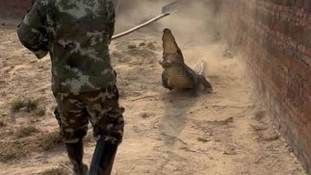 识时务者为俊杰