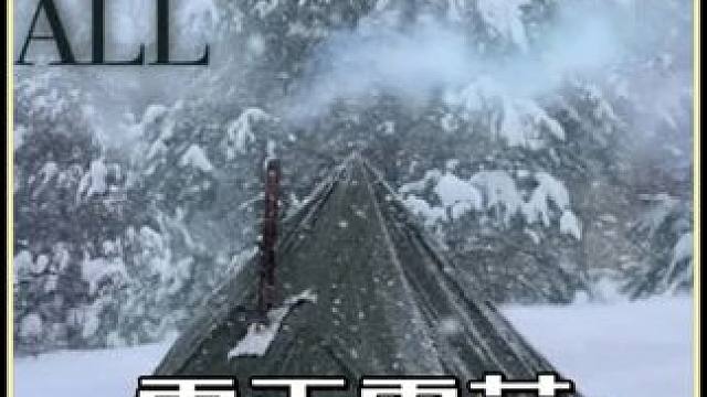 一人一狗暴雪露营 #雪天露营 #户外露营 #解压