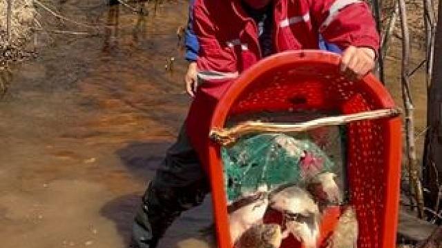 #户外捕鱼 #好多鱼