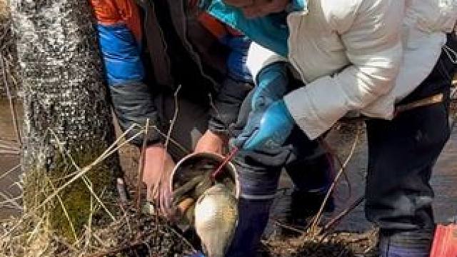 #户外捕鱼 #好多鱼