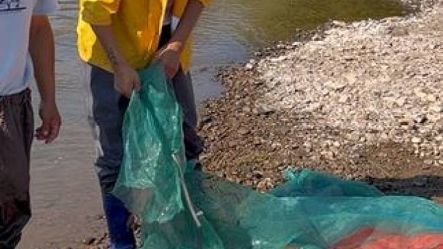 #户外捕鱼 #好多鱼