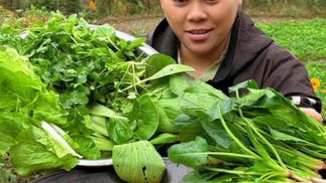 今天去摘了一盆蔬菜，做个香辣蔬菜火锅吃过瘾 #美食 #火锅 #农村生活 #美食分享