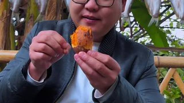 新农人计划2024~