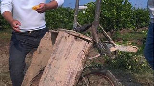 这橙子卖得脑壳疼！ #新农人计划2024 #农村美食 #橙子 #纽荷尔脐橙