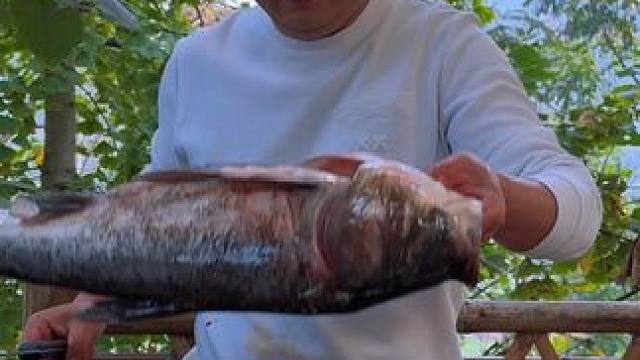 新农人计划2024~