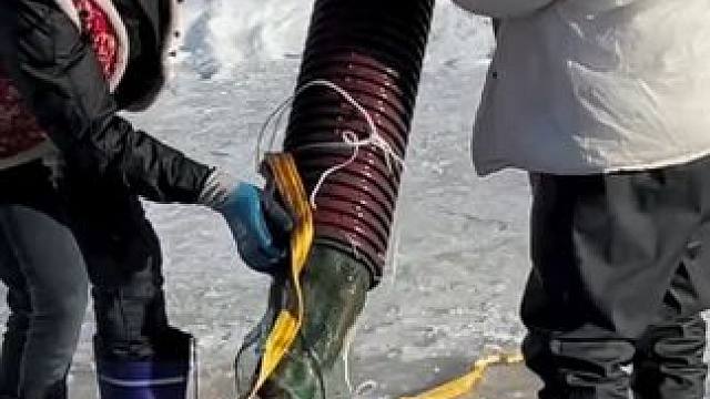 #户外捕鱼 #好多鱼