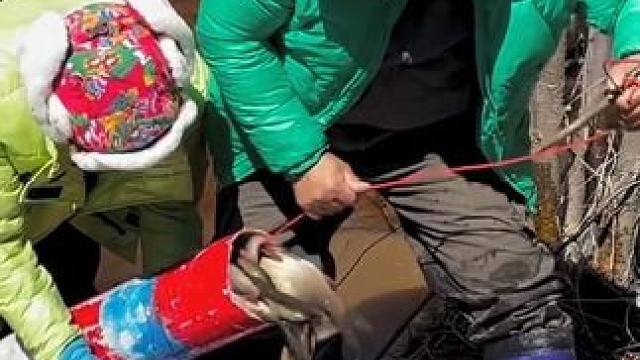 #户外捕鱼 #好多鱼