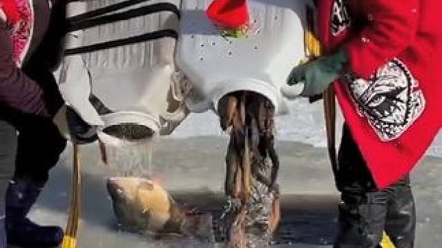 #户外捕鱼 #好多鱼