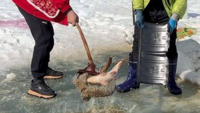 #户外捕鱼 #好多鱼