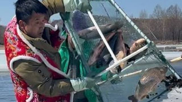 #户外捕鱼 #好多鱼