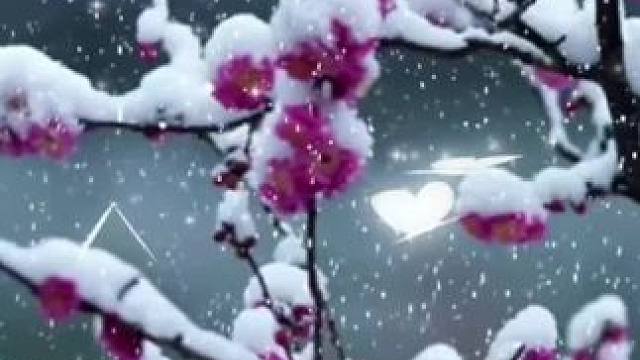 #音乐#音乐分享 #音乐推荐 #