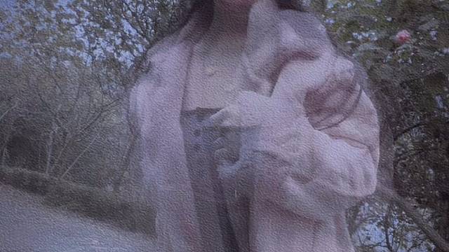 喜欢你不需要理由