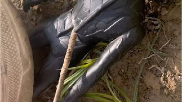 快看贝利亚被钉子扎哭了#儿童玩具 #奥体曼玩具 #好玩的玩具