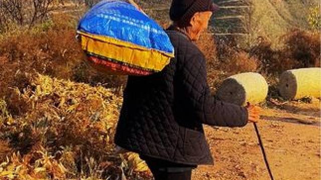 #走进大山深处 #美丽的家乡田园风光 #远离城市的喧嚣 #在那遥远的小山村 #老家河南