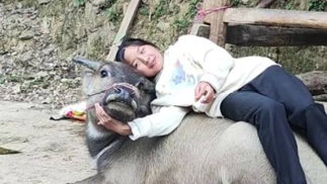 吃辣条啦#记录我的乡村生活 #田园生活 #放牛的生活