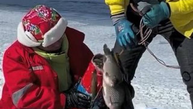 #户外捕鱼 #好多鱼