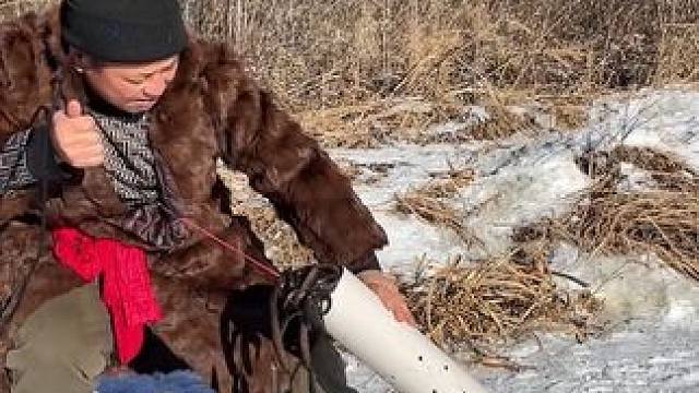 #户外捕鱼 #好多鱼