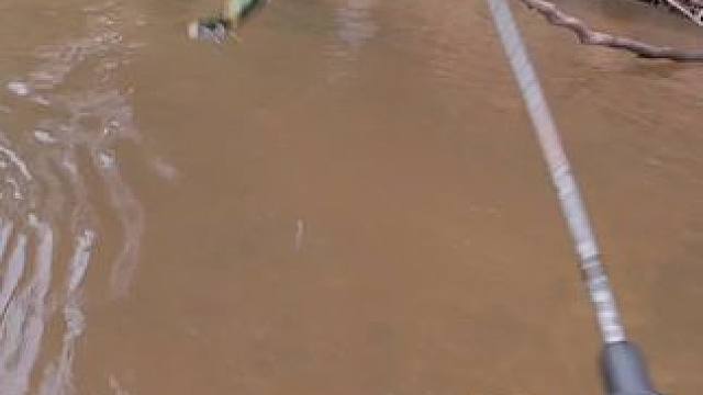 #这鱼哪个钓友看了不羡慕 #最适合冬天的钓鱼经验来了 #钓鱼的乐趣只有钓