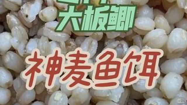 冬钓大板鲫的神麦鱼饵 #鱼饵制作 #秘制饵料 #饵料窝料 #最适合冬天的钓鱼经验来了 #饵料