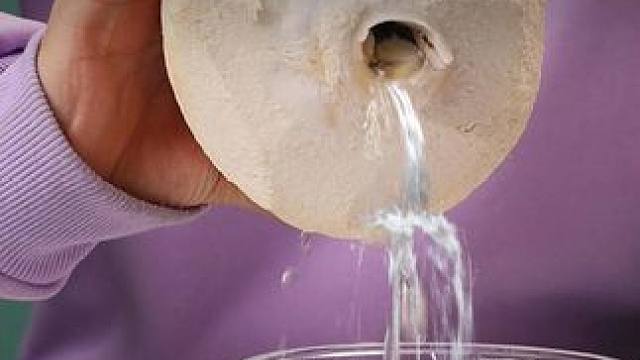 这就是能让孩子放下手机爱上学习的生活小知识，每天看一点不仅锻炼孩子逻辑思维，还能打下坚实的物理化基础