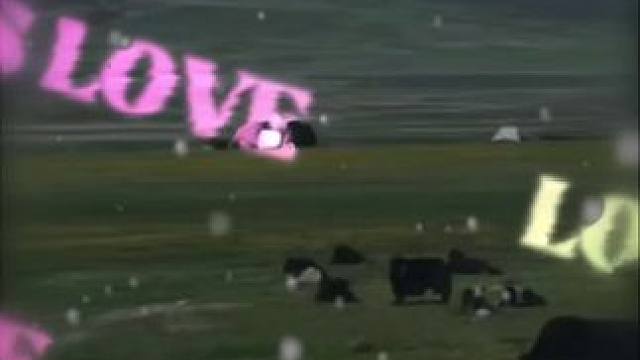 #音乐#音乐分享#音乐推荐 #