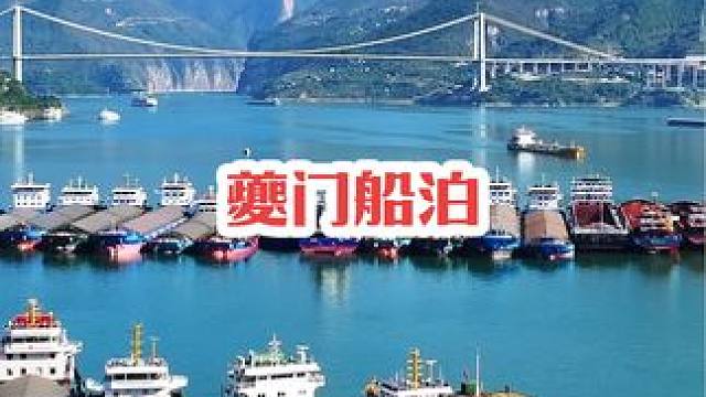 看奉节不但可以欣赏三峡红叶，还可以欣赏如此雄壮的水军！#奉节 #总要来趟奉节看红叶吧