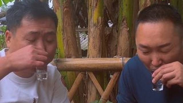 新农人计划2024~