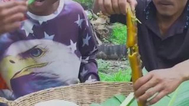 东南亚原始美味 #农村美食记录生活 #我的乡村生活 #舌尖上的美食 #原始美味 #东南亚美食