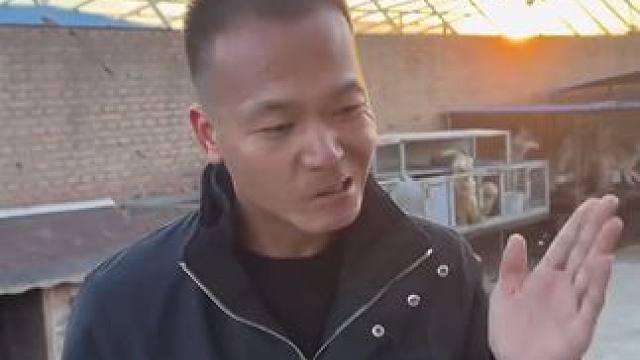 #潘宏  花了五万多的潘宏发现狗没问题，图图：潘宏我这辈子跟定你了 #金毛  #泪目