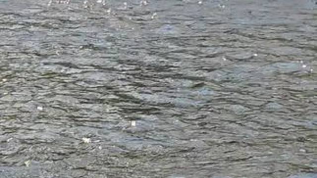 #这鱼哪个钓友看了不羡慕 #秋高气爽正是钓鱼好时节 #钓鱼的乐趣只有钓鱼