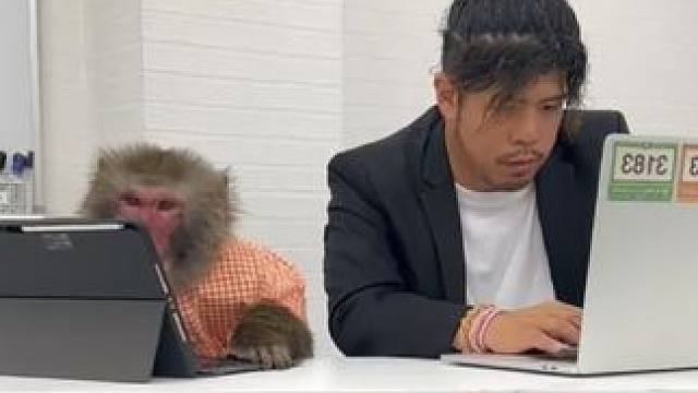 小伙救了一只小猴子 #国外视频分享 #奇妙的动物 #宠物