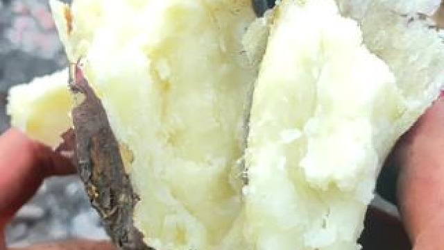 请问 你喜欢这种吗 要抻着脖子吃的
老妈熊我 二大娘那两块红薯霍霍完就安生了……#烤红薯 #童年味道