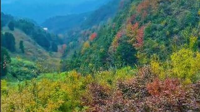 杨丰山的金秋，缤纷了色彩，斑斓了大地，美好了时光。