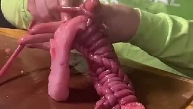 因纽特人的海豹腊肠 #纪录片 #因纽特人 #我的观影报告