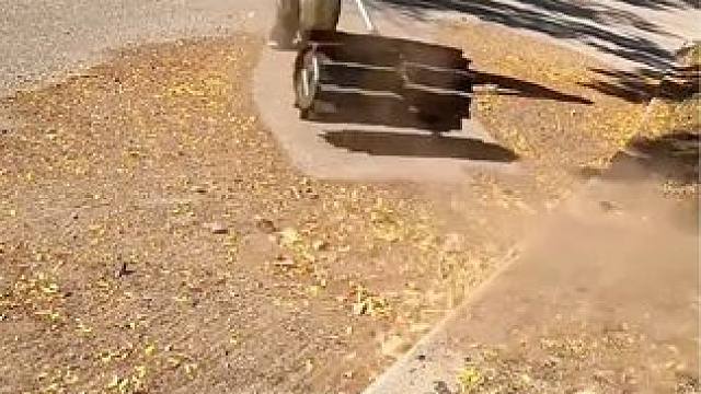 德国清洁器清洁道路，省时又高效！#深度清洁 #洗地 #极度解压