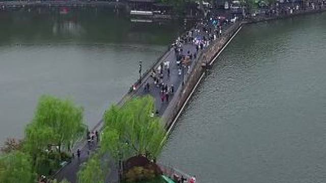 如山水墨画的杭州西湖，是没有任何护栏，你知道这是为什么吗？#旅行推荐官 #西湖 #风景如画 #内容启