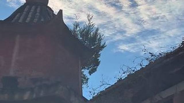 #天选牛马 干活了得个奖励