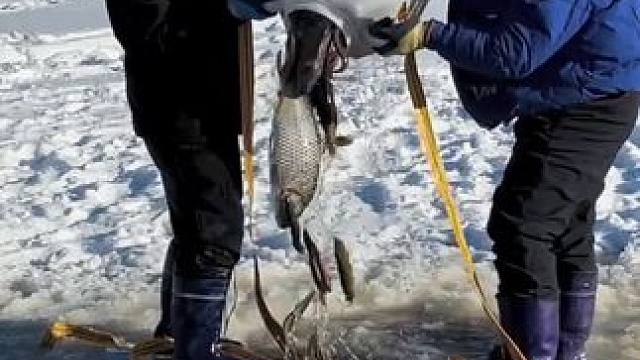 #户外捕鱼 #好多鱼