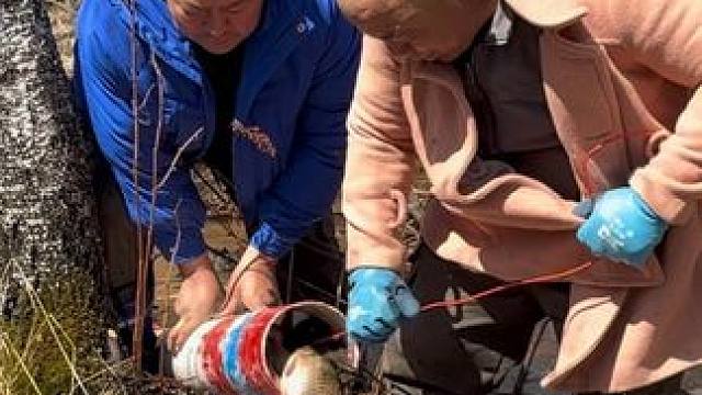 #户外捕鱼 #好多鱼