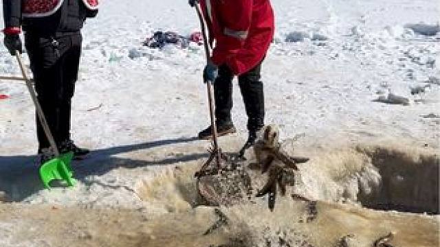 #户外捕鱼 #好多鱼