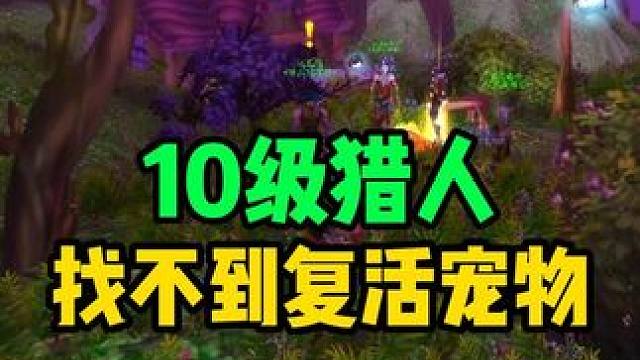 10级猎人找不到复活宠物技能  #魔兽世界怀旧服 专家模式