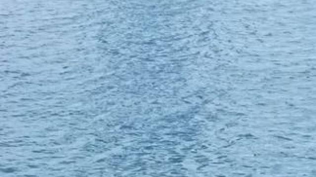 蓝天，白云，碧海，风景美丽！#厦门风景 #厦门旅游景点。