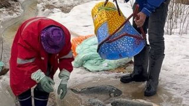 #户外捕鱼 #好多鱼