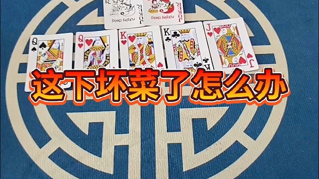 这下坏菜了怎么办