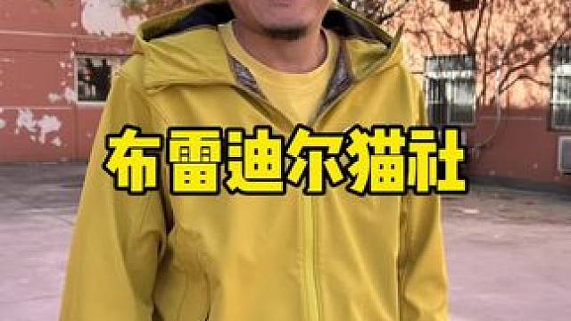 布雷迪尔猫社#萌宠推荐官 #萌宠 #猫咪 #天津猫咪繁育 #天津