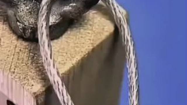 #生活小技巧学会你就捡到宝了 #小妙招大作用 #每天跟我涨知识 #实用小技巧 #小技巧你学会了吗