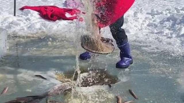 #户外捕鱼 #好多鱼