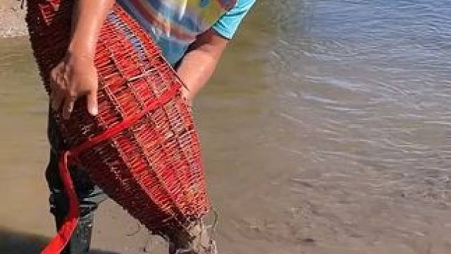 #户外捕鱼 #好多鱼